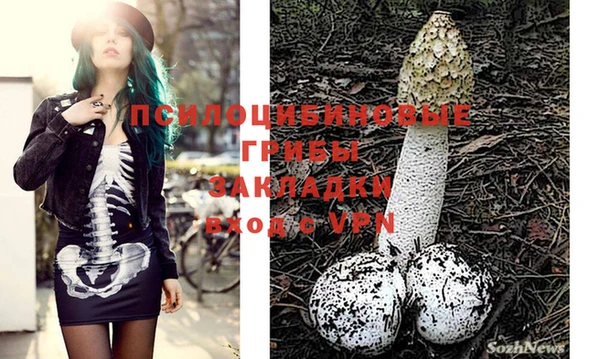 мескалин Каменногорск
