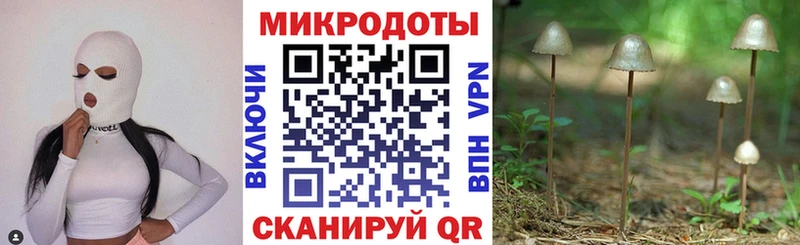 Псилоцибиновые грибы Psilocybe Дудинка